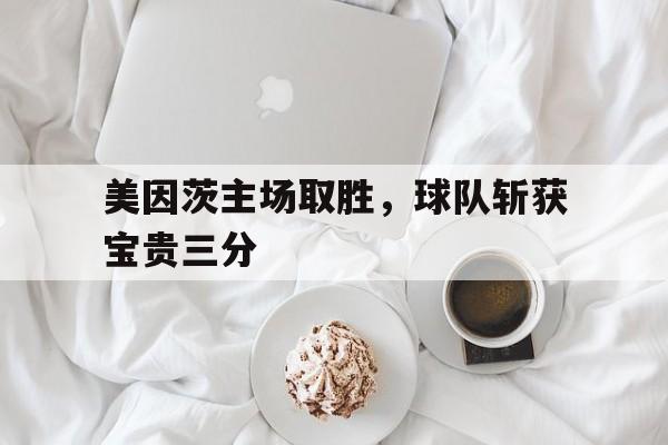 美因茨主场取胜，球队斩获宝贵三分的简单介绍